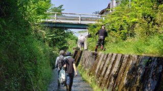 ホタル集まれ 金沢市弥生地区雀谷川の清掃