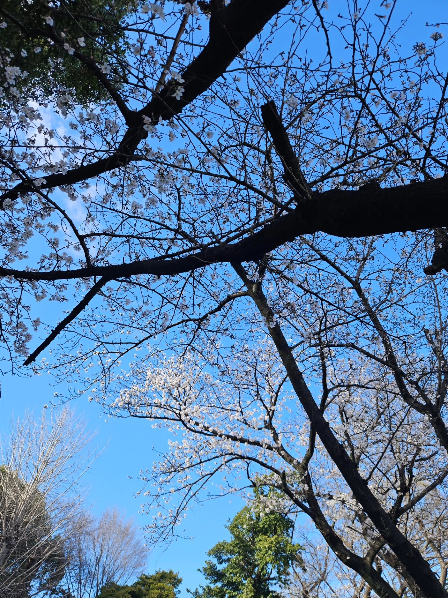 写真の説明はありません。