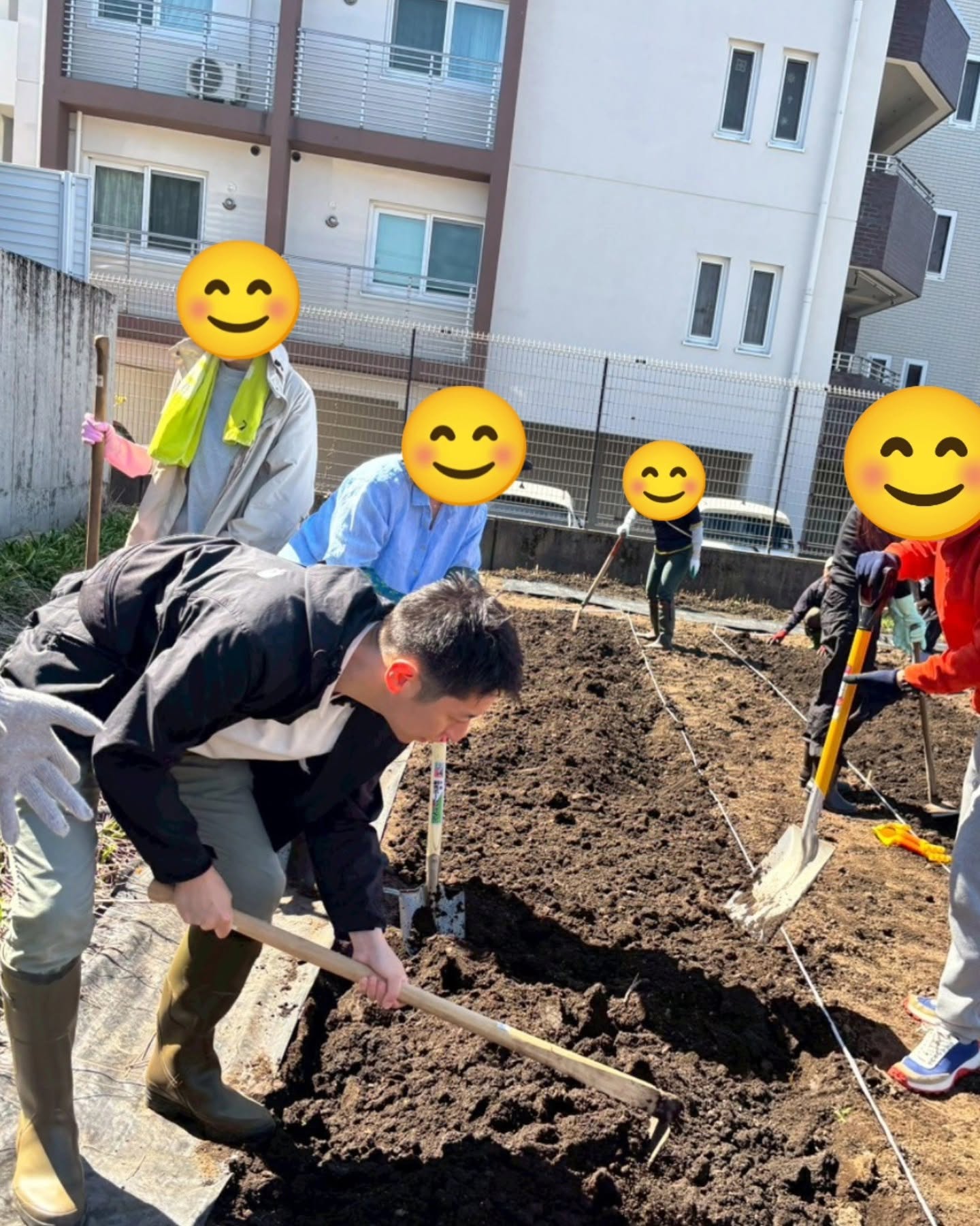 木、テキストの画像のようです