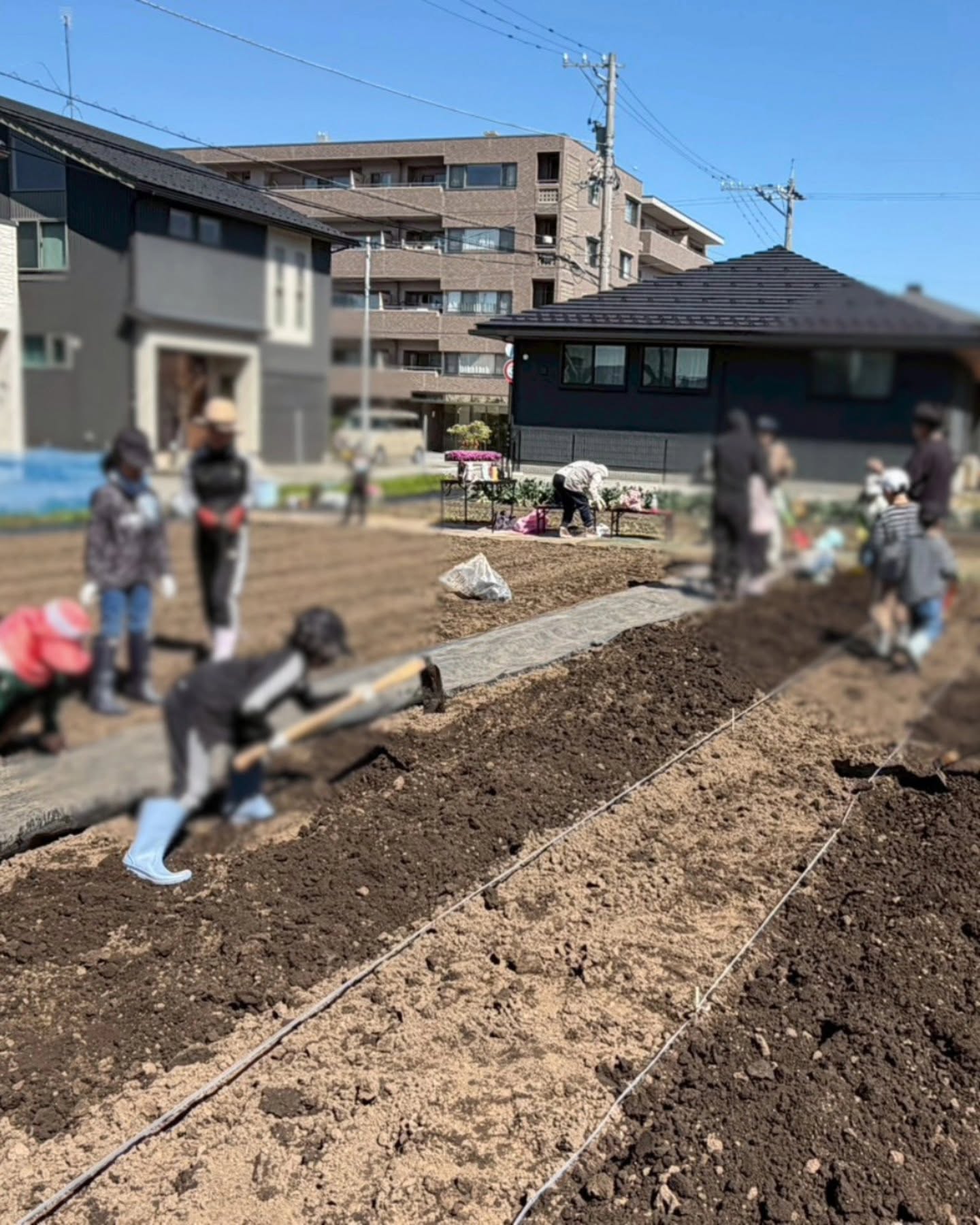 冷床、草の画像のようです